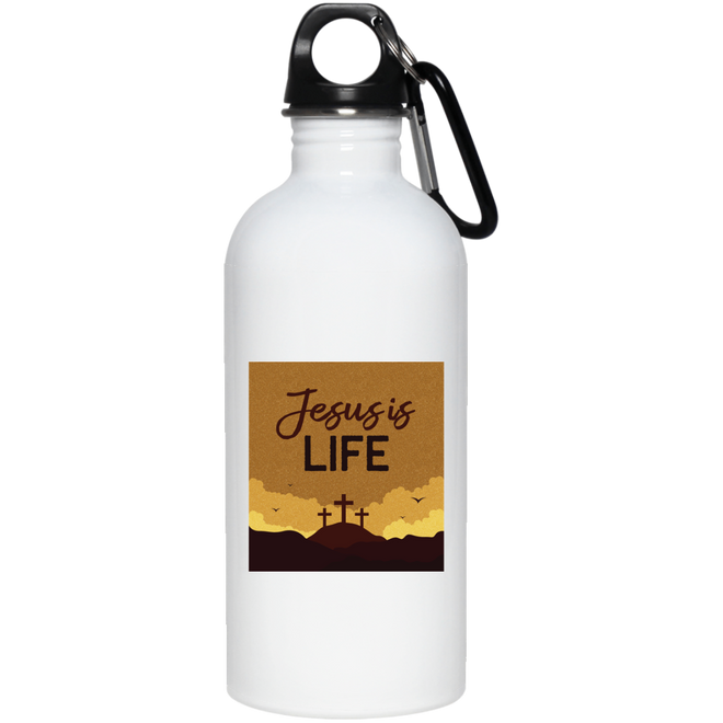 23663 20 oz. Stainless Steel Water Bottle