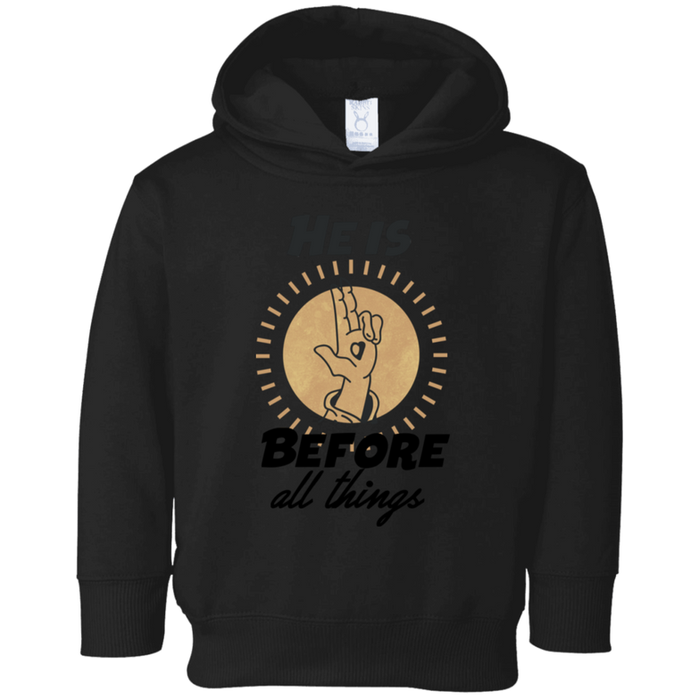 He is before all things 3326 Toddler Fleece Hoodie