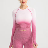 Shark Women Ombre Cropped Seamless Long Sleeve Top Crop Top Women Workout Shirts For Women Sports Tops Women Gym - unitedstatesgoods