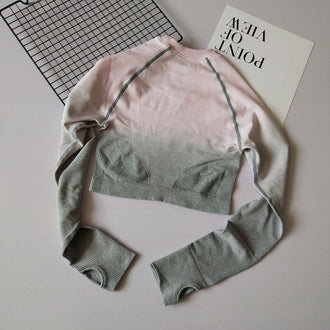 Shark Women Ombre Cropped Seamless Long Sleeve Top Crop Top Women Workout Shirts For Women Sports Tops Women Gym - unitedstatesgoods