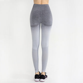 Shark Women Ombre Cropped Seamless Long Sleeve Top Crop Top Women Workout Shirts For Women Sports Tops Women Gym - unitedstatesgoods