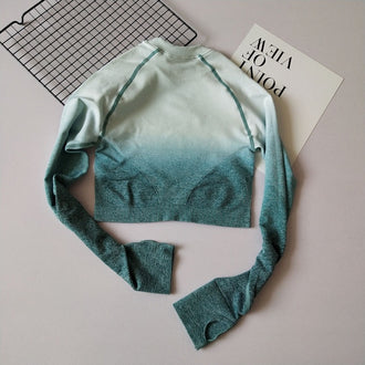 Shark Women Ombre Cropped Seamless Long Sleeve Top Crop Top Women Workout Shirts For Women Sports Tops Women Gym - unitedstatesgoods